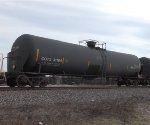 CGTX 31104